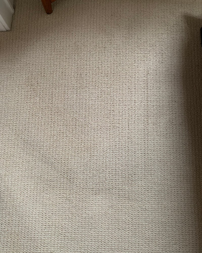 Carpet after the stain was removed