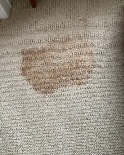 carpet stain removal before cleaning