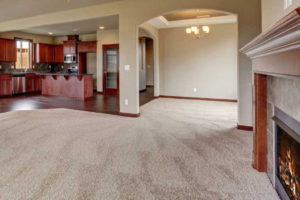 Wall to Wall Carpet Cleaning